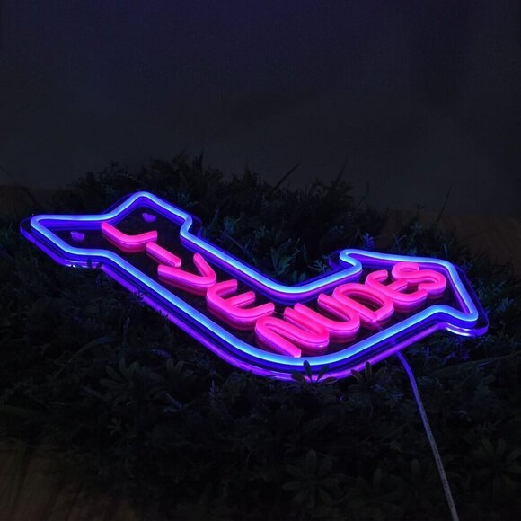 Neon Sign Art Light LED with Dimmer for Bedroom Hotel Pub Cafe Wall Decor - Picture 2 of 5